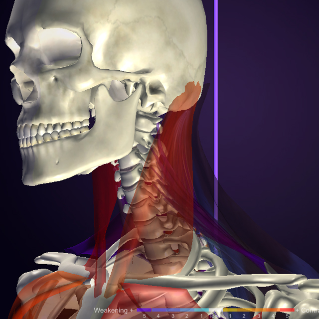 自己治癒力に特化した根本治療