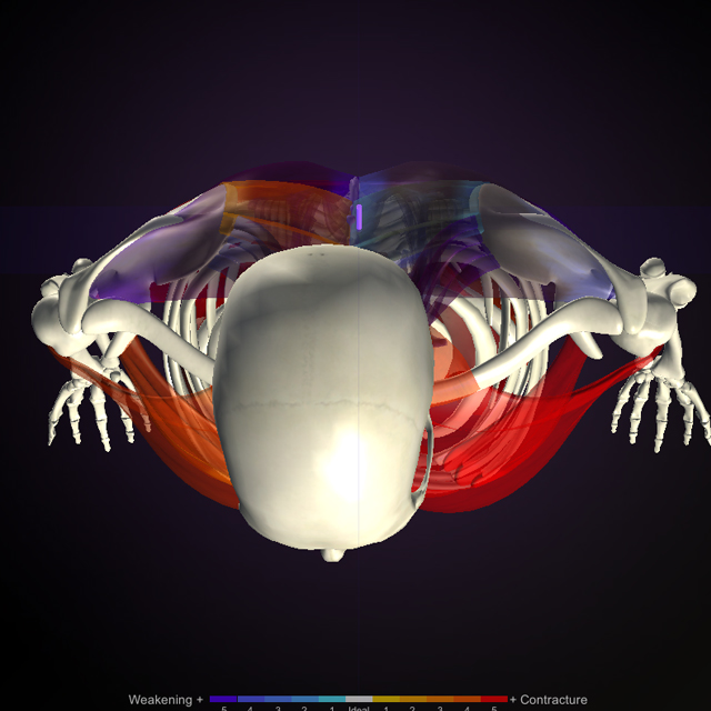 自己治癒力に特化した根本治療