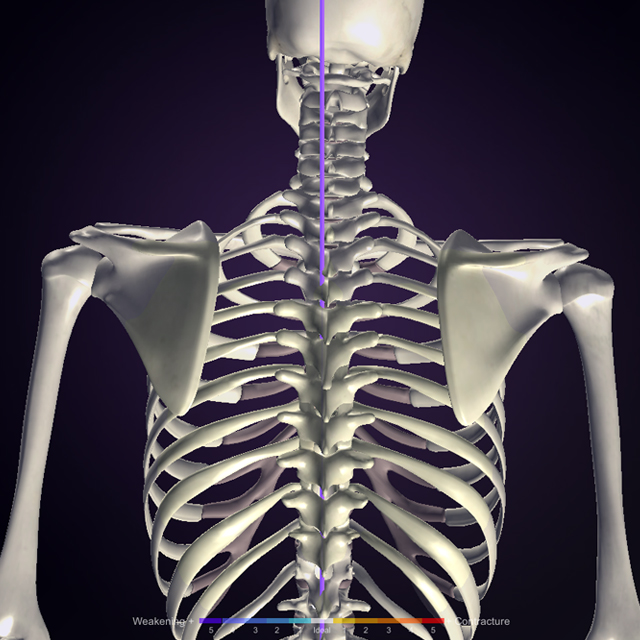自己治癒力に特化した根本治療